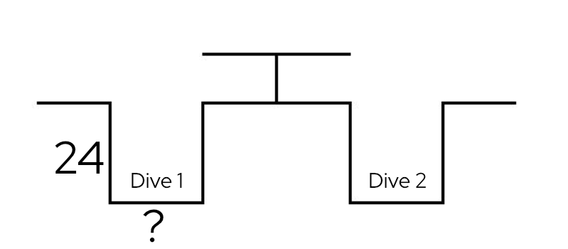 RDP1