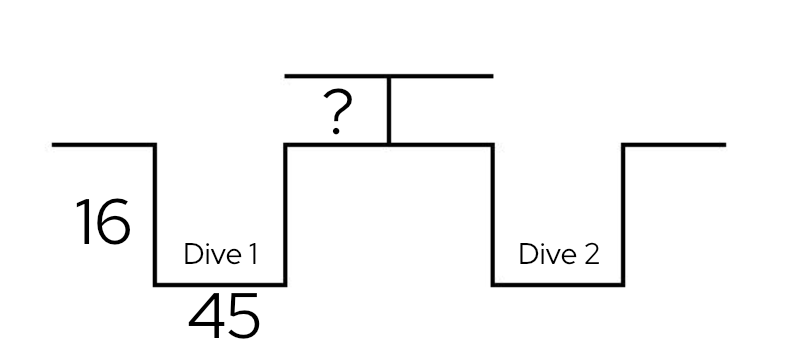 RDP1