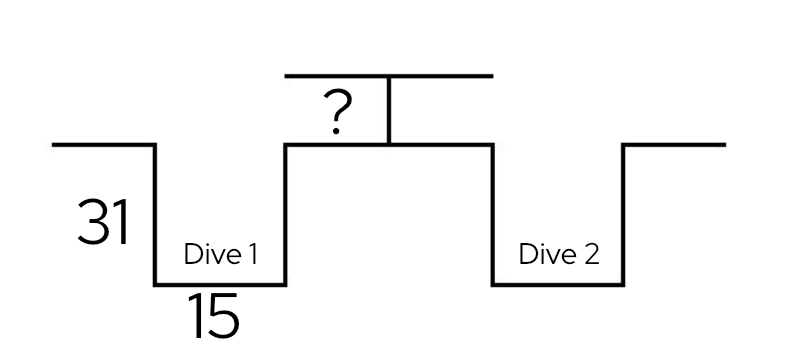 RDP1
