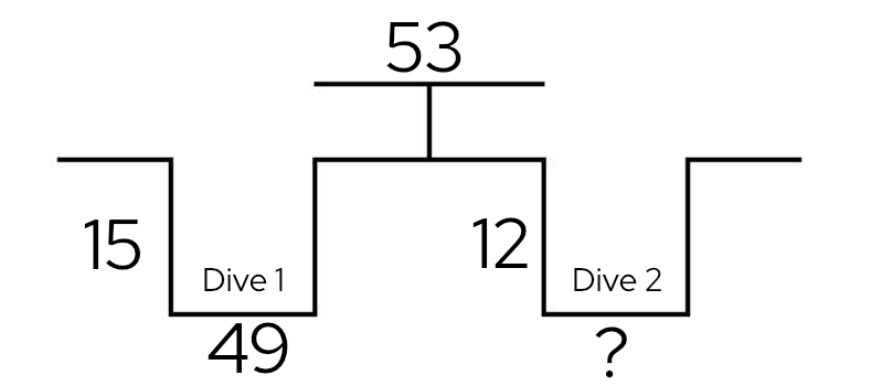RDP1